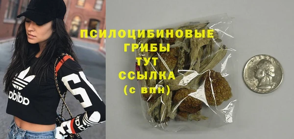 спиды Зерноград