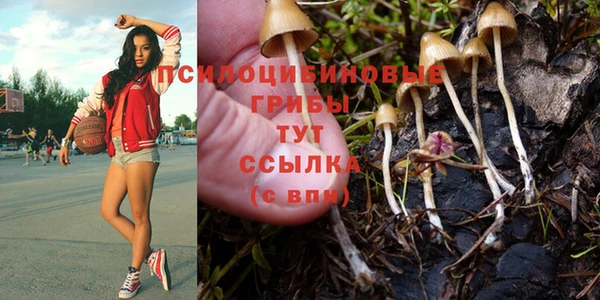молекула духа Зеленодольск