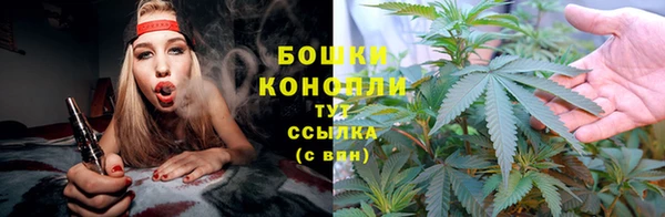 молекула духа Зеленодольск
