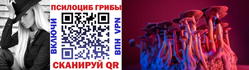 Купить закладки  Котлас  Псилоцибиновые грибы Magic Shrooms 